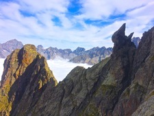 Bec Canard Au Banc Des A Iguilles