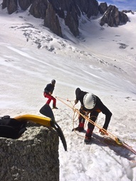 Mouflage Sur Glacier